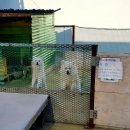 봉구세차장 이미지