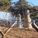 정정옹주묘 이미지