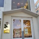 부산애견호텔 강아지유치원 펫퍼센트&코모네하우스 | 부산 시민공원 강아지 무료 분양 펫퍼센트 ♡ 우리가족 모찌♡