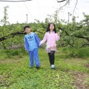 우리동네과수원
