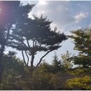 광교에듀공인중개사사무소 이미지