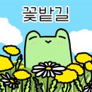 강남-049 이미지