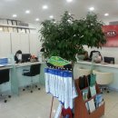 대영정비 이미지