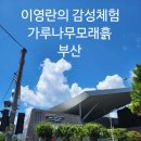 어린이 체험전 「가루나무모래흙」 | 부산 어린이 전시 이영란의 감성체험 가루나무모래흙 10월 예매정보