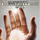 죽염/헬스조선 이아라 기자 글 요약 이미지