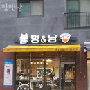 멍앤냥 - 성남시 중원구 순환로 461 | 영통구 신동 애견샵 멍앤냥 위치.가격.시간.후기