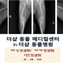 더샵동물메디컬센터 네이버블로그