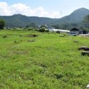 교산동 건물지 이미지