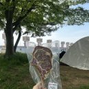 육감축산 네이버블로그