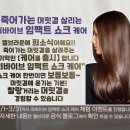 엘브라운 - 유성구 엑스포로151번길 19 | 엘브라운
