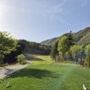 베뉴지CC | ⛳ 베뉴지CC 봄 라운딩 후기(잔디상태ㅣ그린스피드)