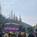 2026 여수 영취산 진달래축제 후기! 직접다녀옴, 주차 편하고 부모님 모시고 가기 좋은 봄 나들이 (벚꽃...