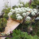 광바위주유소 이미지