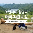 백호목장 이미지