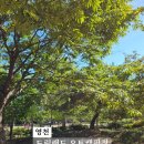 사일온천여탕매점 | [영천/여행코스포함] 드림랜드캠핑장 사장님 바뀌었다고해서 가봤다!!