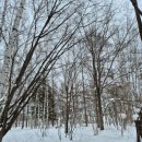 주정차071 이미지