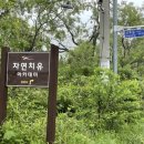 리우 표적 주열요법 | 수술보다 중요한 건강한 생활 습관