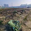 광성농장 이미지