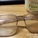 양파 농사 대박 이미지