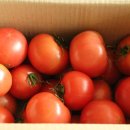 횡성농산농장 이미지