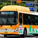송학지안리즈 이미지