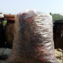 경동농장 이미지