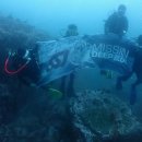 서양화(유화&수채화데생) 이미지