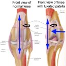수동물병원 이미지