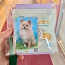버블버블 애견샵 | 민락동 애견미용 잘하는 쓰다드멍에서 포메 버블스파와 예쁜 미용