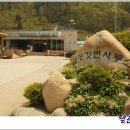 김삿갓면-9 이미지