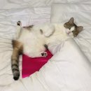 뉴톤보청기 수원지사 이미지