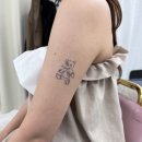 킹프림 애견샵 | 웨딩타투커버 커버킹 인천점 디어브로우 청라눈썹 &amp; 셀핏바디피부 솔직후기