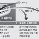 산소로 이미지