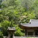병산길, 전서로(풍천면) 이미지
