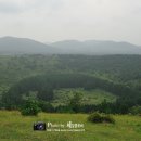 건영목장 이미지