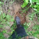 가득농장 이미지