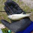 남방낚시터 이미지