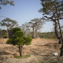 백상운농장 이미지