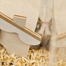 골든햄스터분양 탬펫 강남점 이미지