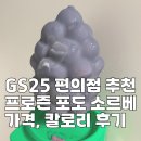 GS25 용현제일점 | GS25 편의점 추천 아이스크림 프로즌 포도 소르베 가격, 칼로리 후기