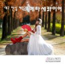 우로지 자연숲 공원(메타세쿼이아길) 이미지