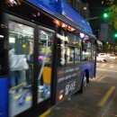 세운버스 이미지