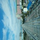 20251012 ~ 월미도 바다 열차 관광 / 문화 관광 관람 이미지