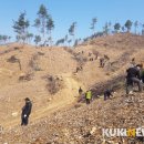 녹색자원 이미지