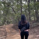 서봉산산림욕장 이미지