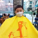 헤메드(hermed) 헤어