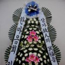 괴정1동-12 이미지