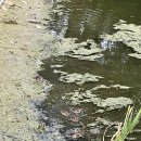 동천면옥 이미지