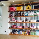 바우애견 이미지