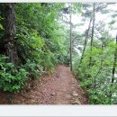 속리산둘레길 보은길3 이미지